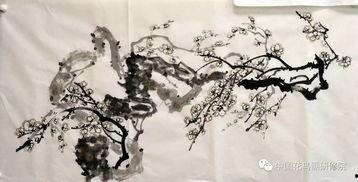 国产花鸟视频大全,尽赏自然之美，感受生命律动