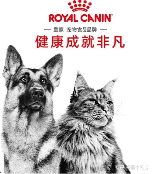 国产犬粮视频广告大全集,品质生活，犬伴同行