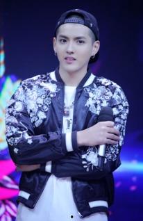 吴亦凡国产综艺视频,国产舞台上的魅力演绎