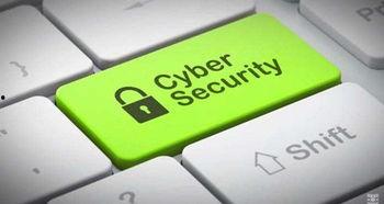 国产指甲钳评测视频网址,揭秘国产指甲钳品质与性能，为你选对美甲利器